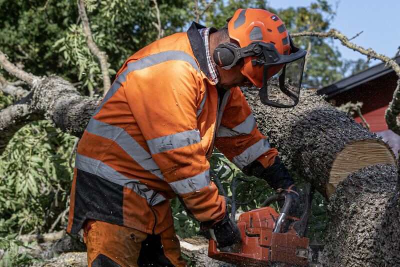 Bûcheron en tenue de protection orange qui tronçonne un arbre abattu